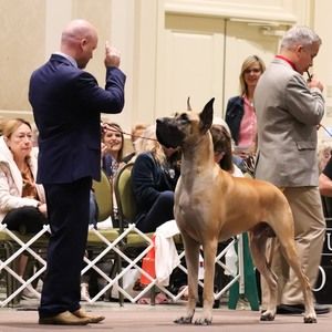 Meet your Posher, Brian